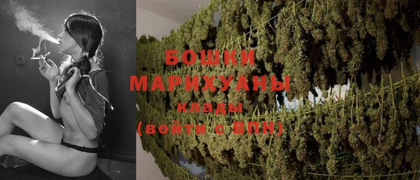 спайс Гусь-Хрустальный