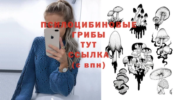2c-b Ельня