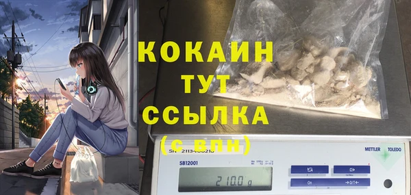 PSILOCYBIN Дмитровск